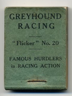 greyhound