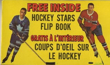 hockey1