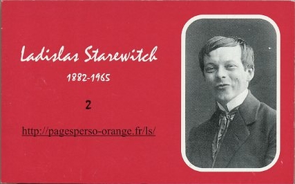 starewitch2